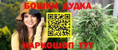 МДПВ Шелехов